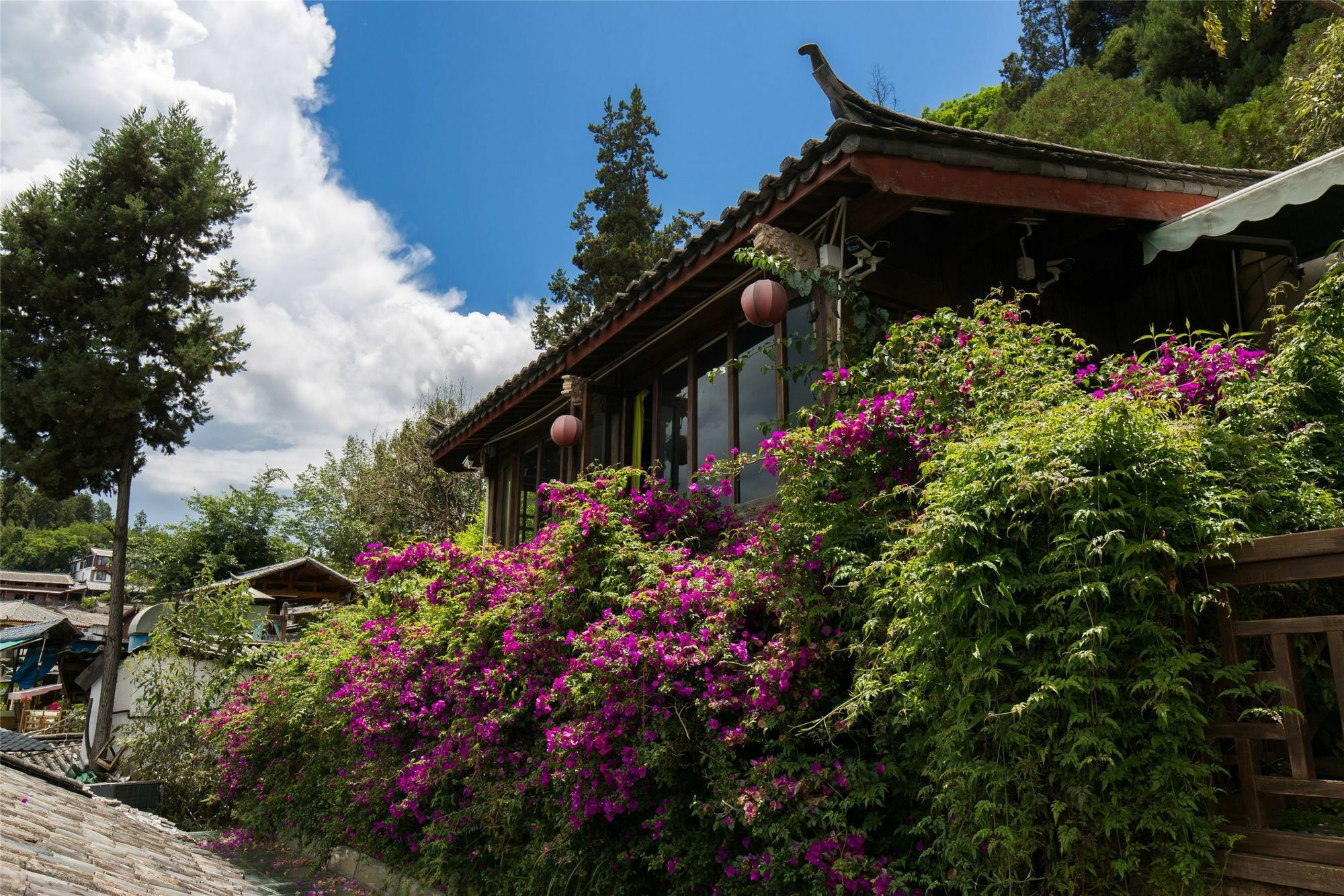 Blossom Hill Inn - Springland Lijiang  Exterior photo